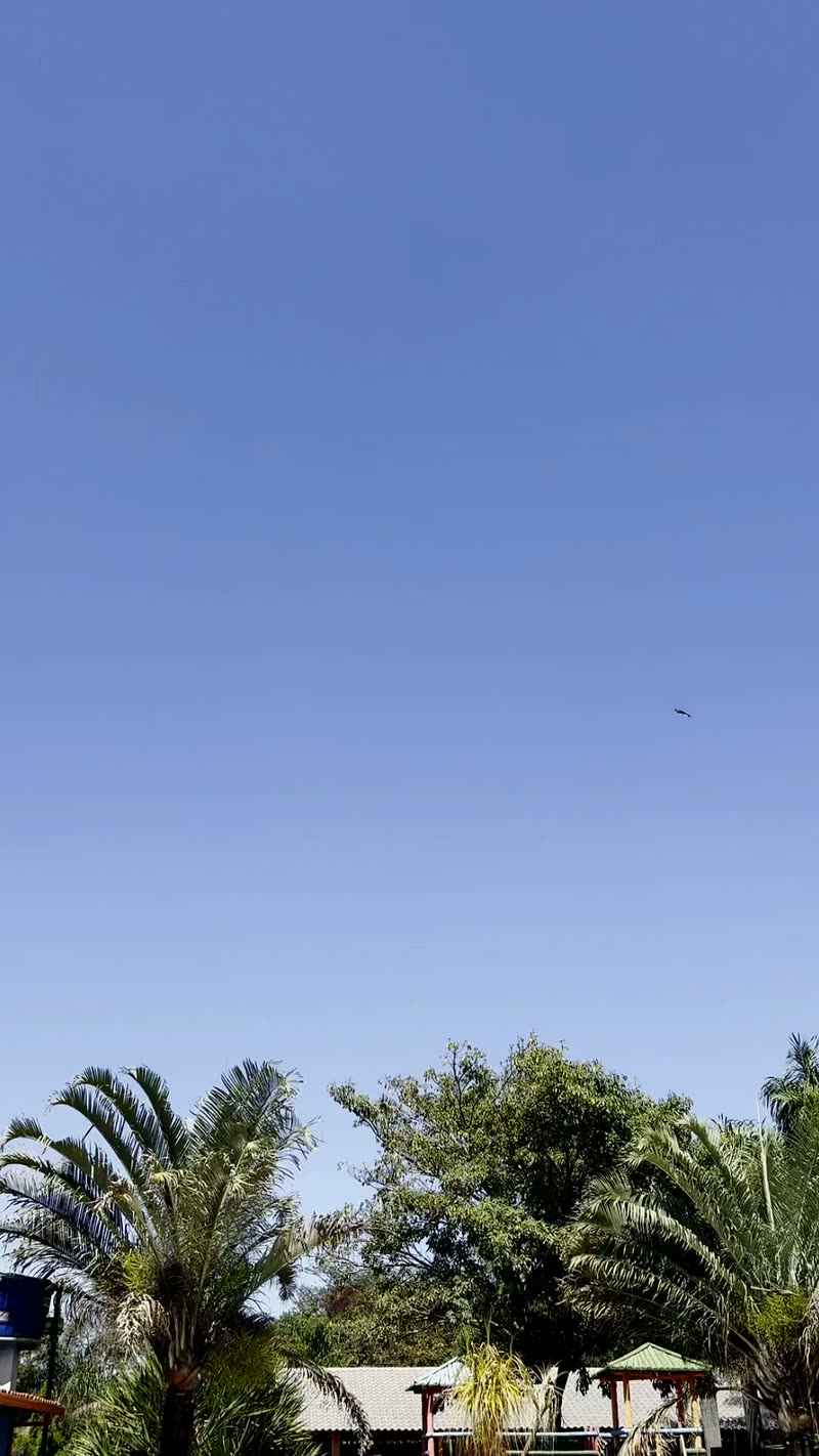 Área da piscina
