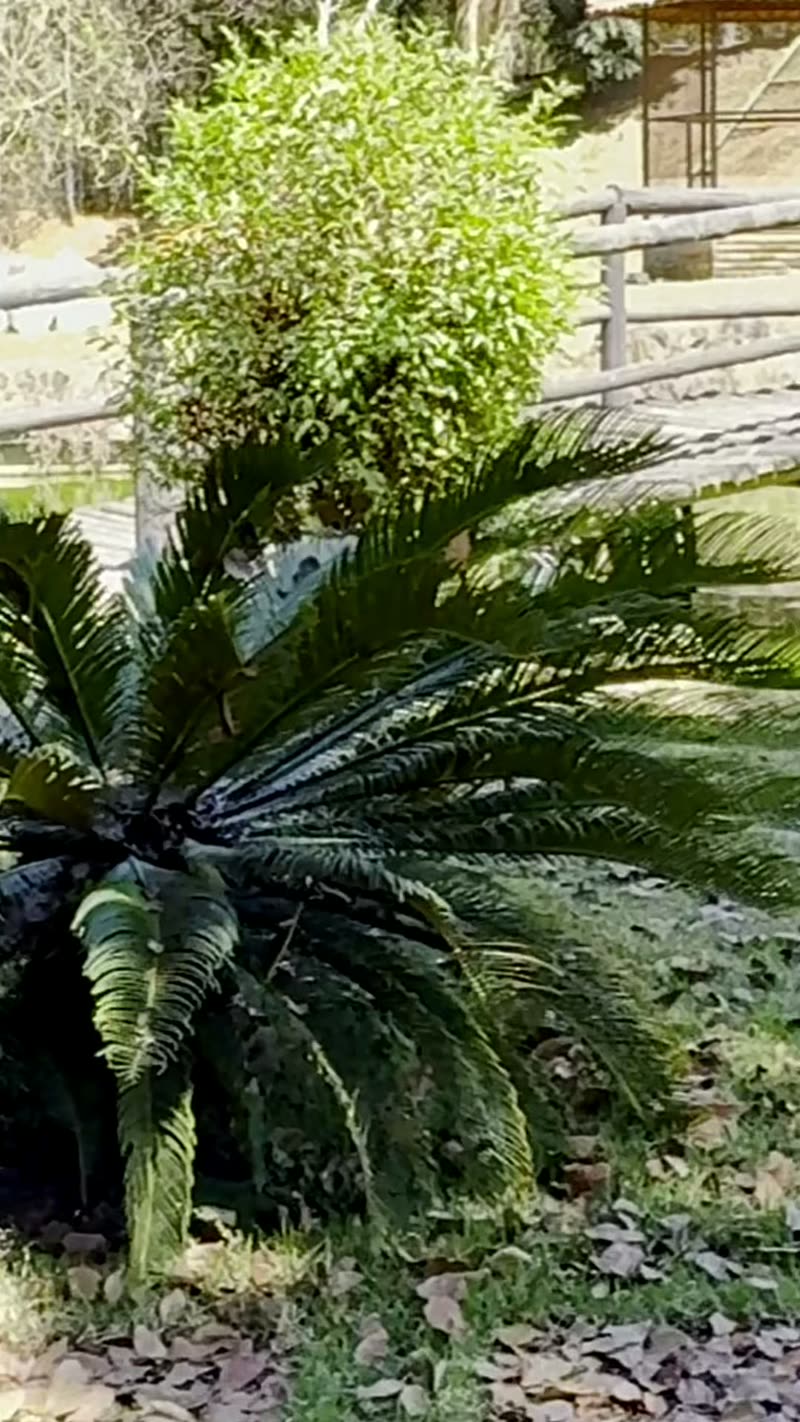 Quiosque sobre a água