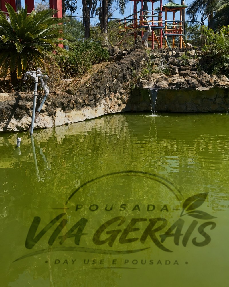 Terra, água e